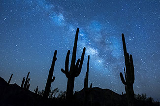 Tucson Night Desert