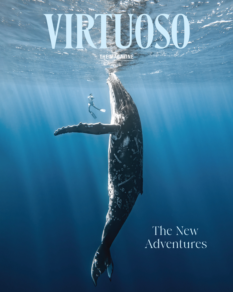Virtuoso cover