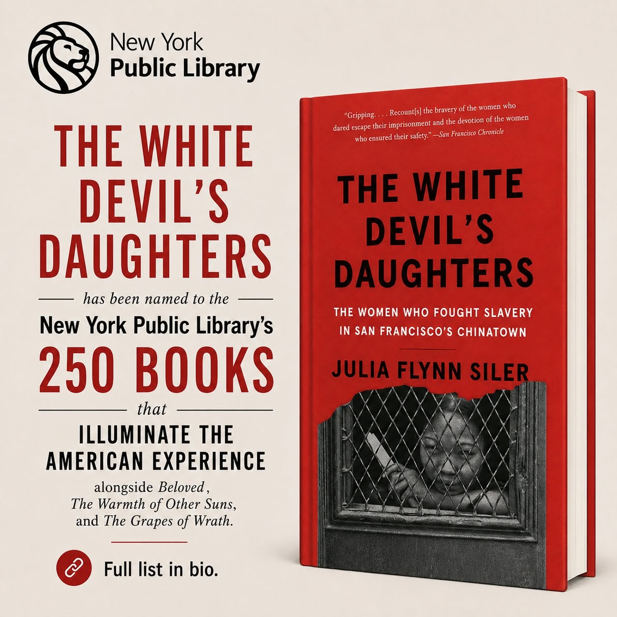 The White Devil's Daughters by Julia Flynn Siler book cover