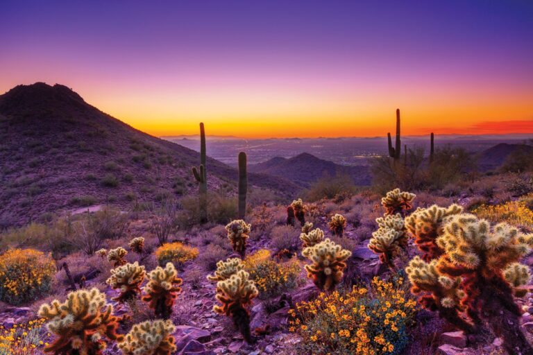 Old Town Scottsdale, Arizona