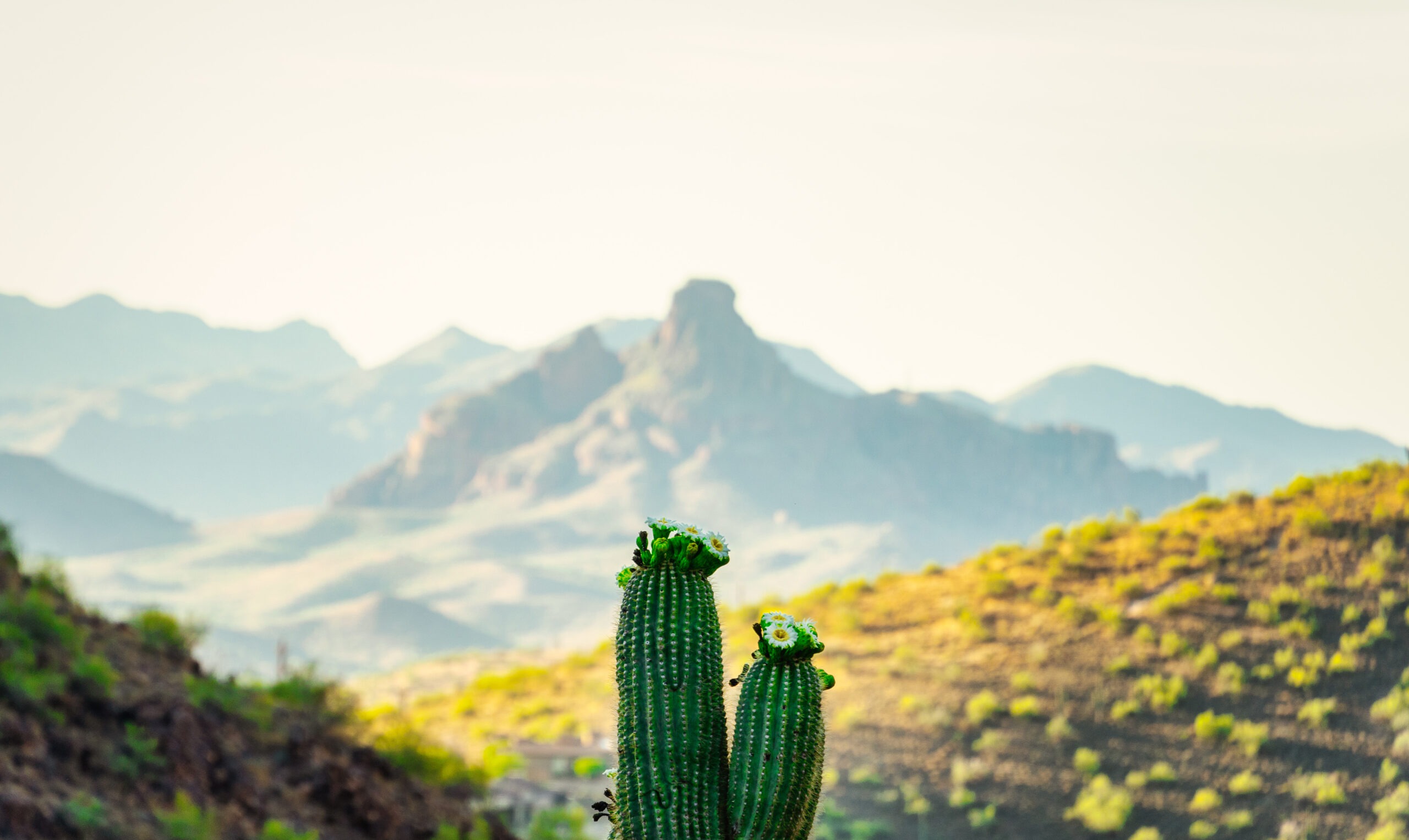 Travel Classics West 2027 — Scottsdale, Arizona